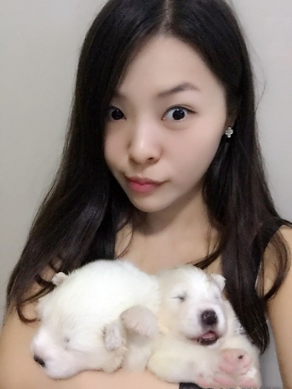 如果可以的第三张照片--保定相亲服务中心