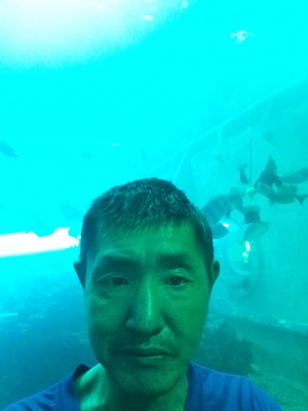 陸戰隊的第一张照片--保定相亲服务中心