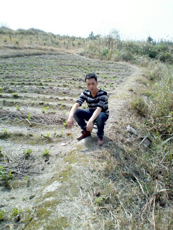 你好的第一张照片--保定相亲服务中心