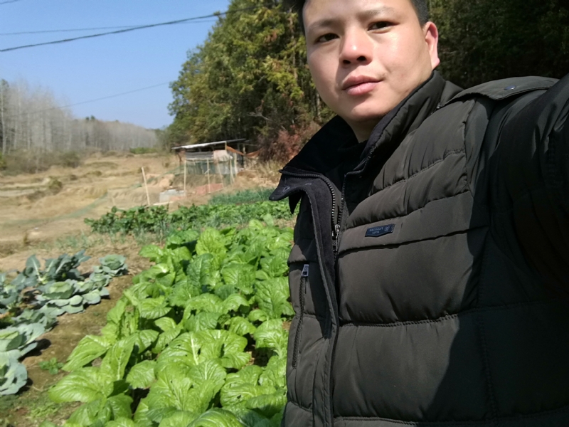 倔强的驴的第一张照片--保定相亲服务中心