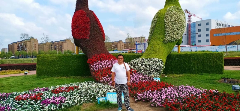 尘埃的第一张照片--保定相亲服务中心