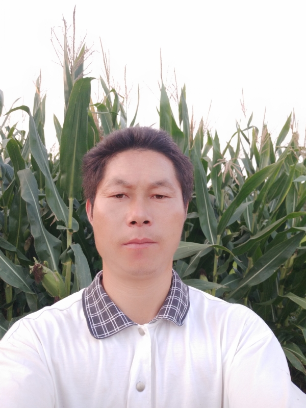 四海游龙的第一张照片--保定相亲服务中心