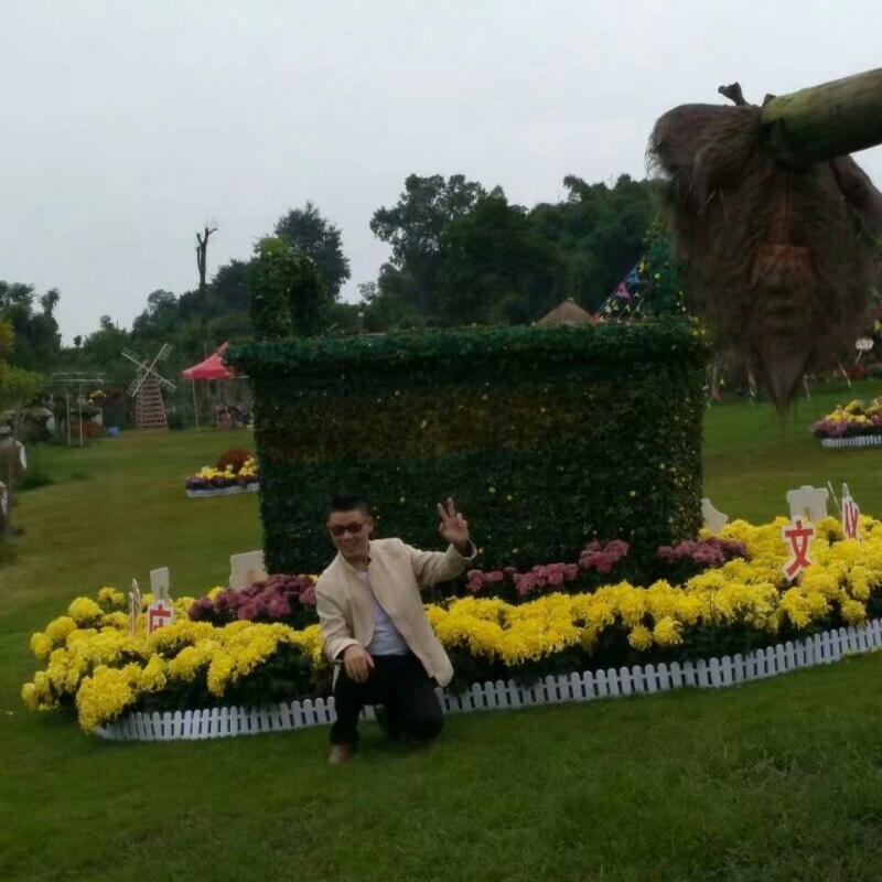 春风里^O^任徜徉的第一张照片--保定相亲服务中心