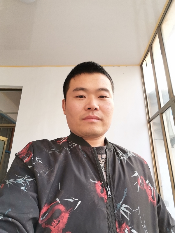 会飞的猪的第一张照片--保定相亲服务中心