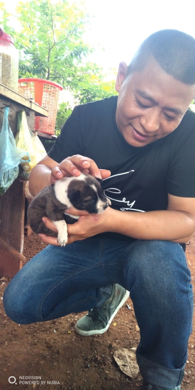 深圳相亲的第一张照片--保定相亲服务中心