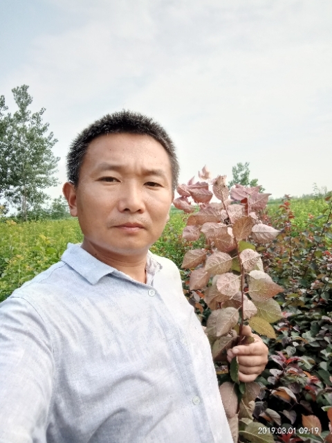 孩子爸的第二张照片--保定相亲服务中心