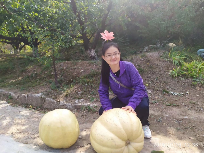 海绵宝宝的第一张照片--保定相亲服务中心