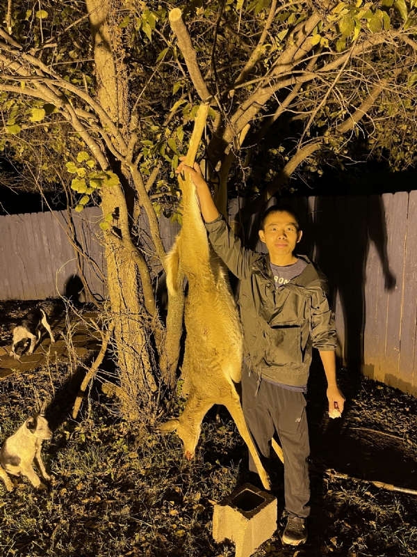 Kandy的第三张照片--保定相亲服务中心