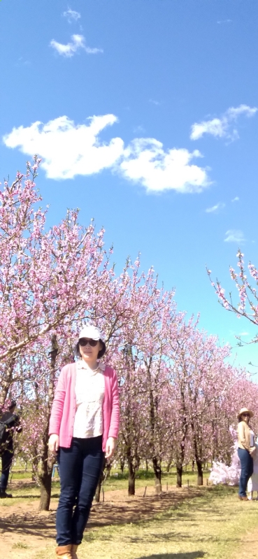 Grace的第二张照片--保定相亲服务中心