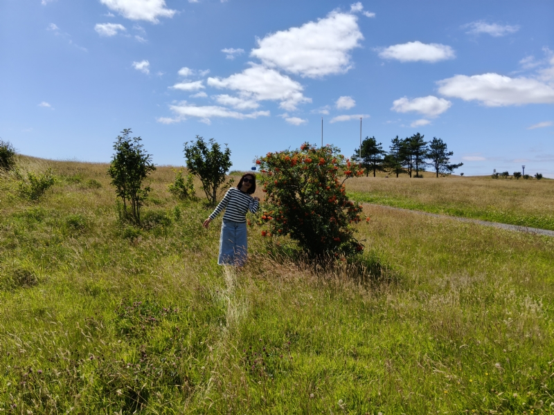 秋蝉的第一张照片--保定相亲服务中心