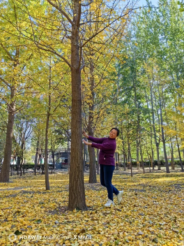 Shirley的第一张照片--保定相亲服务中心