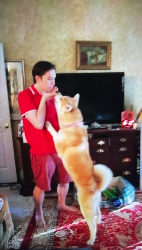 Leluch的第一张照片--保定相亲服务中心