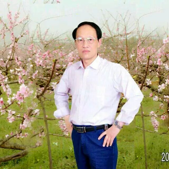 枫叶的第一张照片--保定相亲服务中心