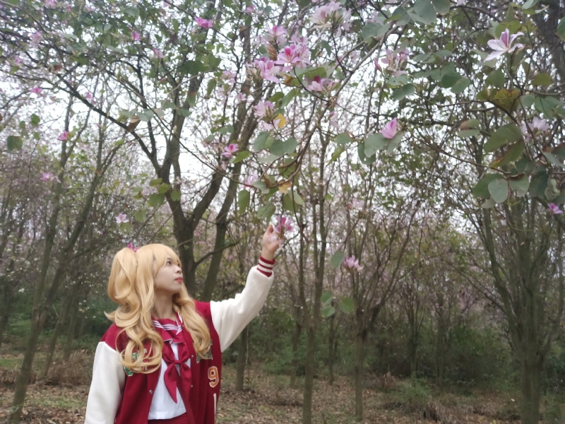 暮秋的第一张照片--保定相亲服务中心