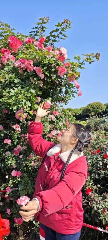 狗狗的第一张照片--保定相亲服务中心