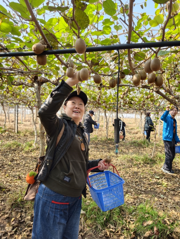 夜莺的第四张照片--保定相亲服务中心